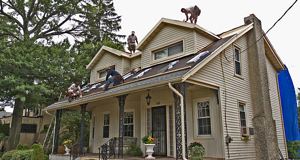 Best Emergency Roof Repair  in Dandridge, TN